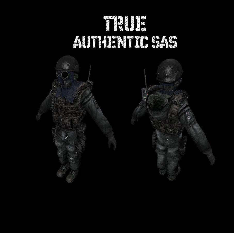 Скачать Модель SAS «True! Authentic» для CSS